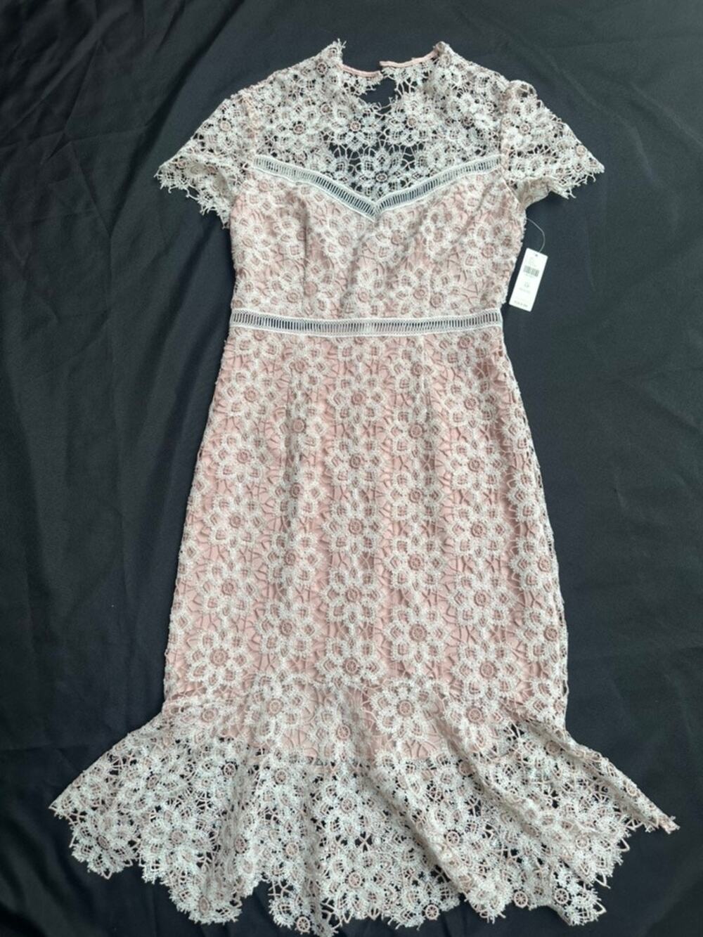 SAYLOR Lillie Ivory Blush Lace Illusion Midi Dress Petite S NWT